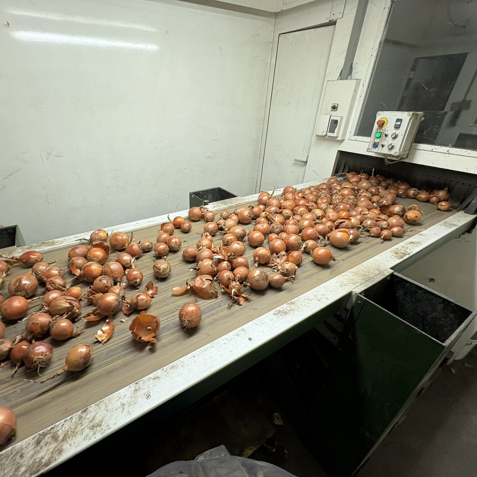 Mihalovic - Zwiebel und Kartoffel aus dem Marchfeld
