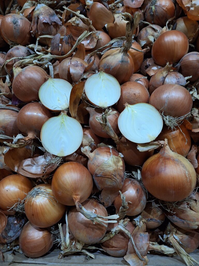 Mihalovic - Zwiebel und Kartoffel aus dem Marchfeld